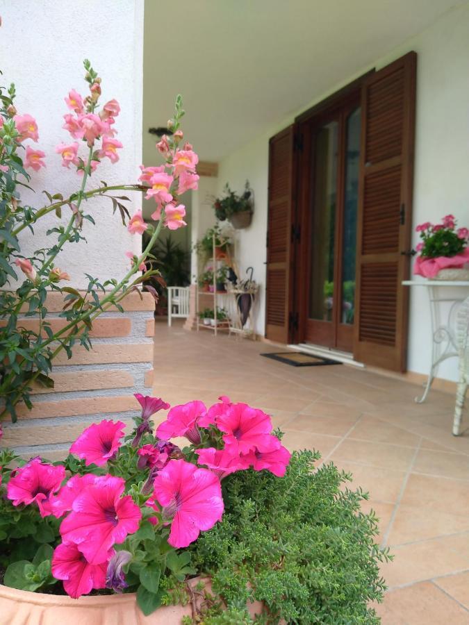 B&B Il Cantico Greccio Bagian luar foto