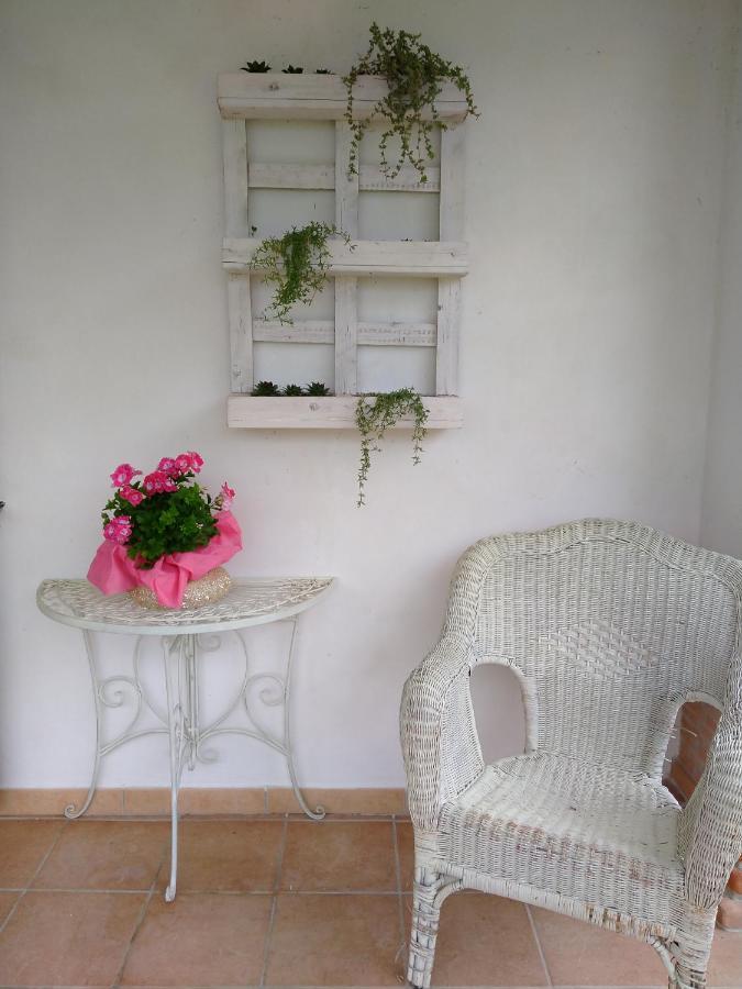 B&B Il Cantico Greccio Bagian luar foto