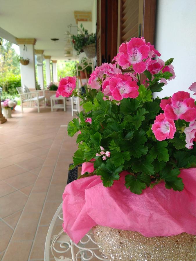 B&B Il Cantico Greccio Bagian luar foto