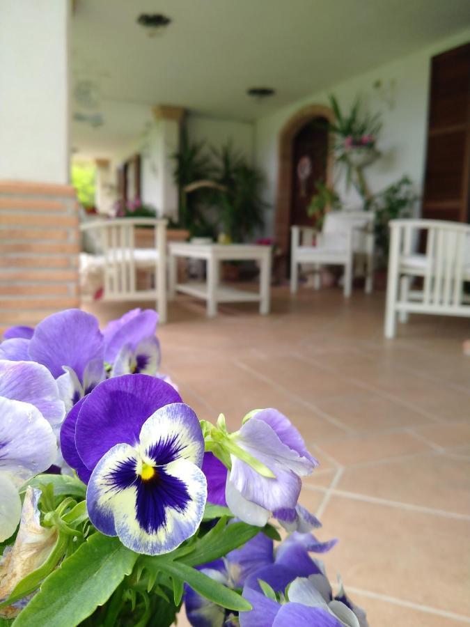 B&B Il Cantico Greccio Bagian luar foto