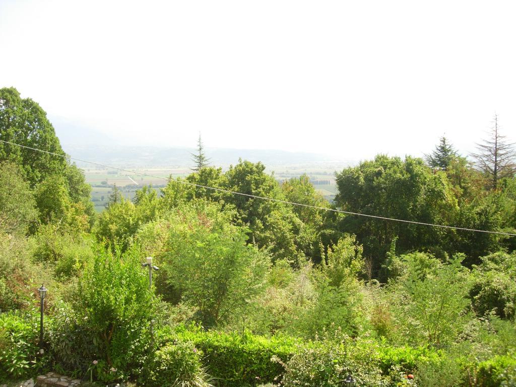 B&B Il Cantico Greccio Ruang foto