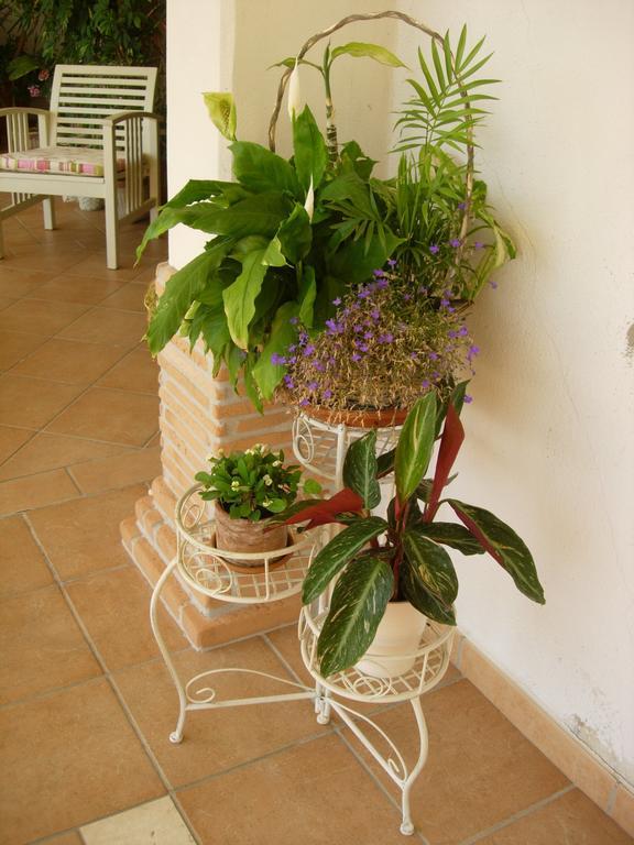 B&B Il Cantico Greccio Ruang foto