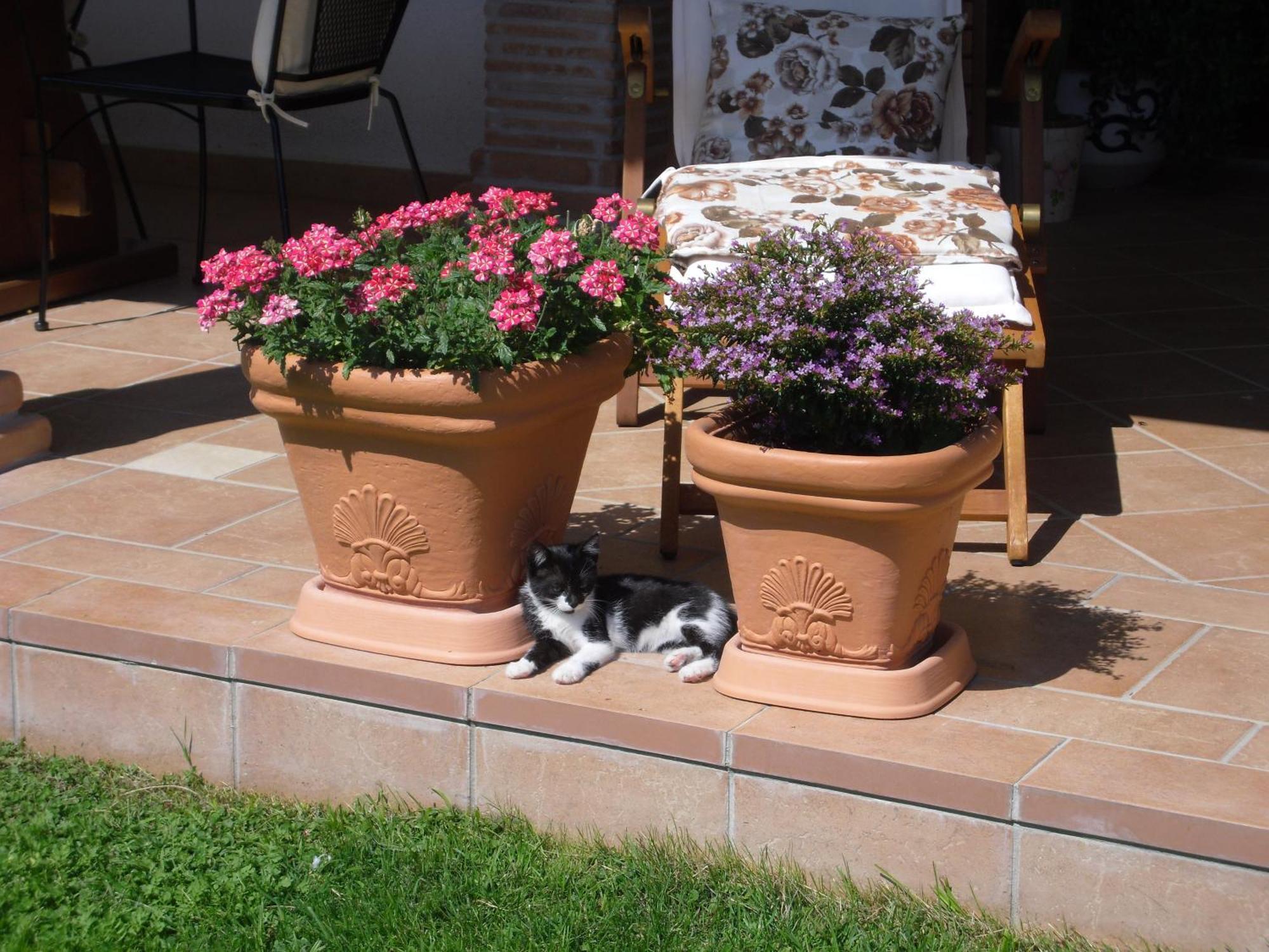 B&B Il Cantico Greccio Ruang foto